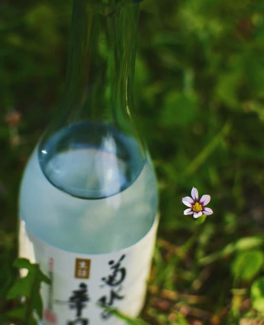 sake bottle and spring flower