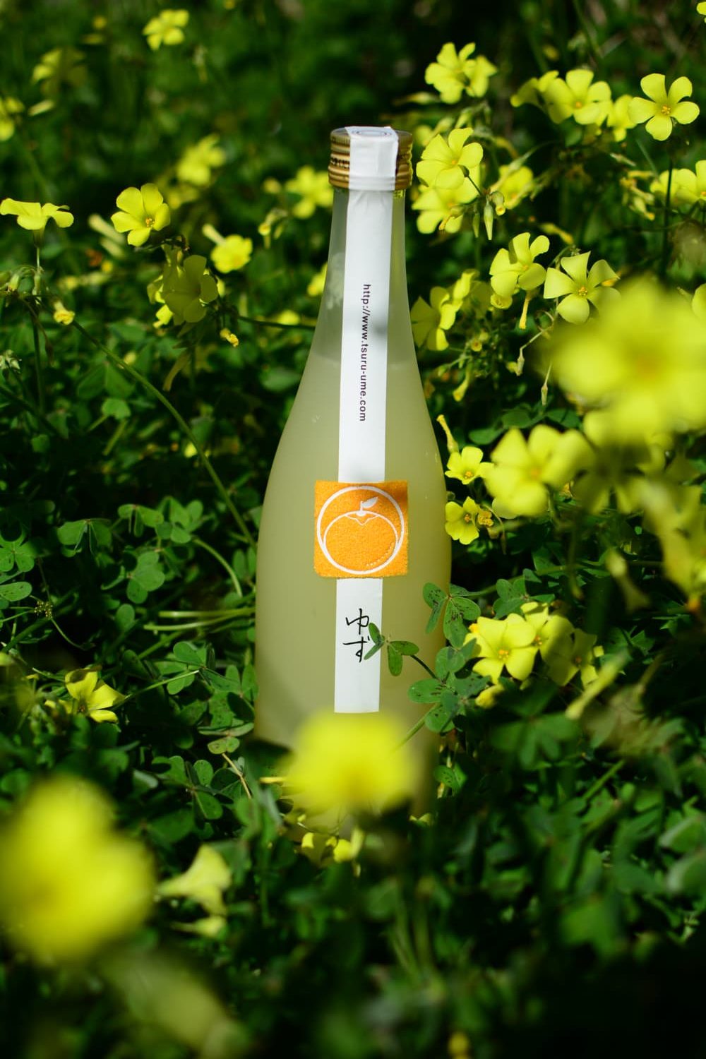 bottle of sake tsuruume yuzu